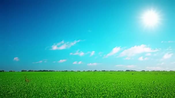 campo verde y cielo nublado timelapse - Imágenes, Vídeo