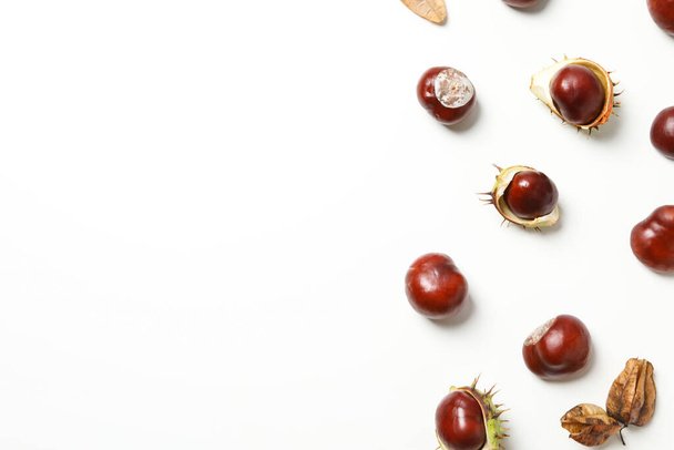 Fresh and ripe chestnuts, space for text - Φωτογραφία, εικόνα