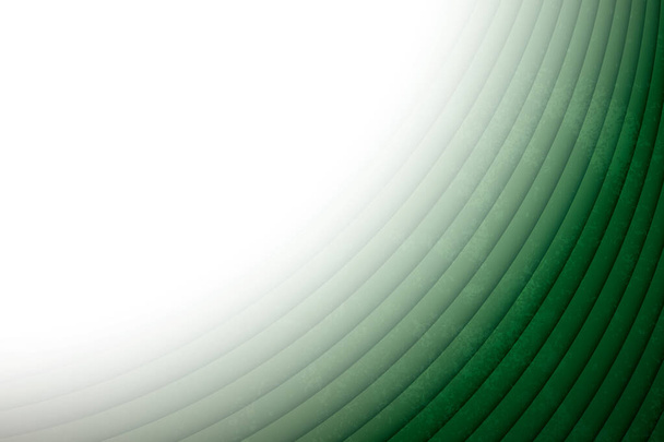 fondo abstracto verde con líneas y ondas  - Vector, Imagen