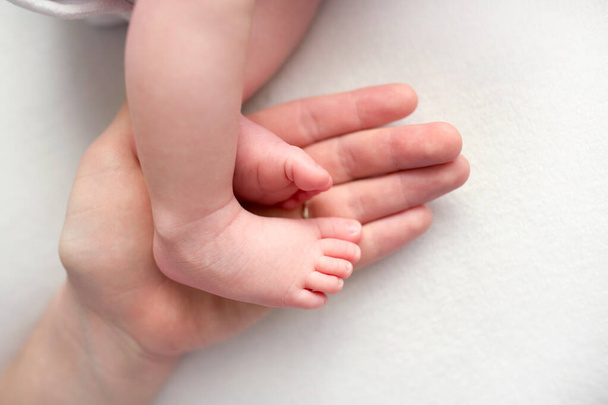 Childrens legs in the hands of mother, father, parents. Feet of a tiny newborn close-up. Mom and her child. Happy family concept. Beautiful concept image of motherhood stock photo. - Foto, Imagem