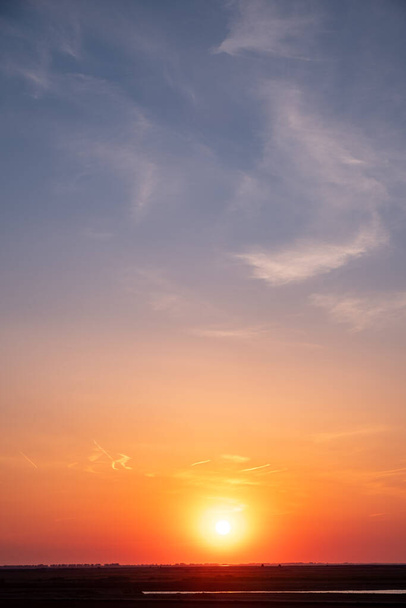 Vurige zonsondergang met schaduwen over verlichte bomen. Verduisterde silhouetten van bebost gebied met levendige zonsondergang of zonsopgang. Kleurrijk en emotioneel milieuportret. Hoge kwaliteit foto - Foto, afbeelding