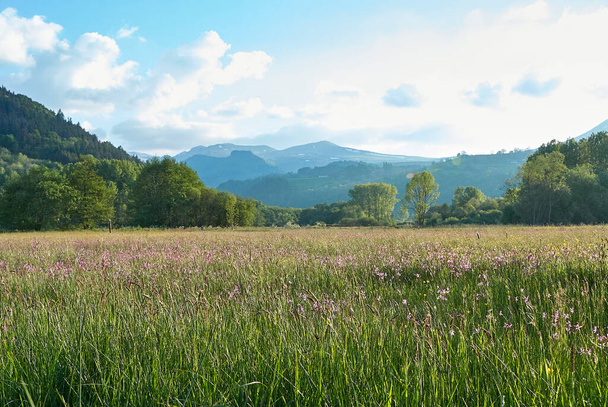 krajina sopečného parku v Auvergne za slunečného dne, Francie - Fotografie, Obrázek