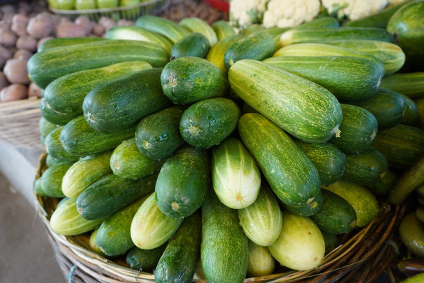 熟したおいしい緑の熟したズッキーニ。市場で調理のための新鮮なキュウリ。ノースカロライナ州ローリーのステートファーマーズマーケットで販売のための地元で栽培されたナス - 写真・画像
