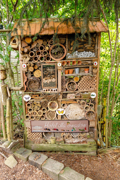 Οικολογικό ξενοδοχείο εντόμων? Ένα σπίτι για τις μέλισσες, τα μυρμήγκια και περισσότερο - Φωτογραφία, εικόνα