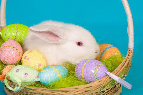 White Easter bunny with basket and  eggs - Valokuva, kuva