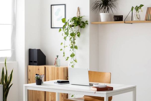 Bright business minimal workplace with laptop and office supplies with nobody - Photo, Image