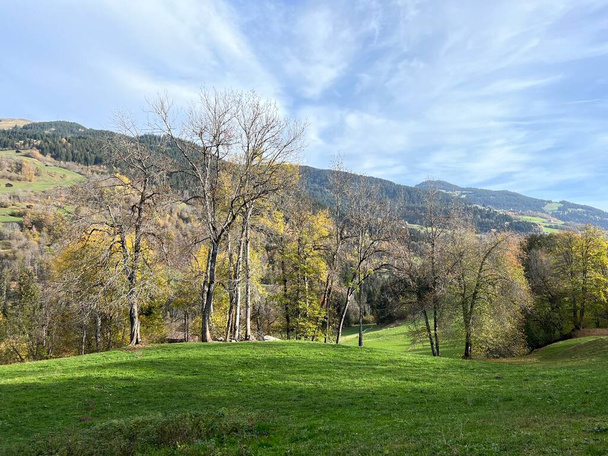 Wspaniałe kolory jesieni w otoczeniu pastwisk górskich i lasów mieszanych na zboczach Alp Szwajcarskich, Ilanz - Kanton Grisons, Szwajcaria (Kanton Graubunden, Schweiz) - Zdjęcie, obraz