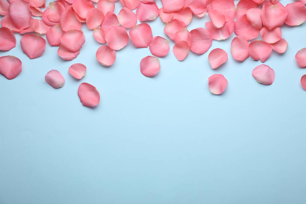 Beautiful pink rose flower petals on light blue background, flat lay. Space for text - Photo, Image