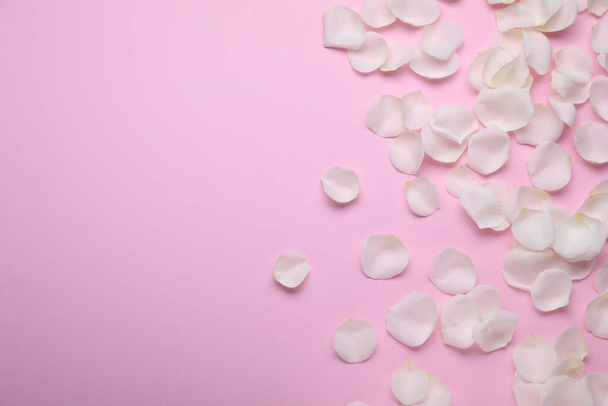 Beautiful white rose flower petals on pink background, flat lay. Space for text - Foto, afbeelding