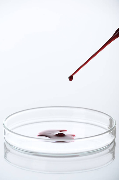 Close-up of pipette drop blood sample or red liquid on petri dish in the medical laboratory- analyzes and diagnostics concept- on white background - 写真・画像