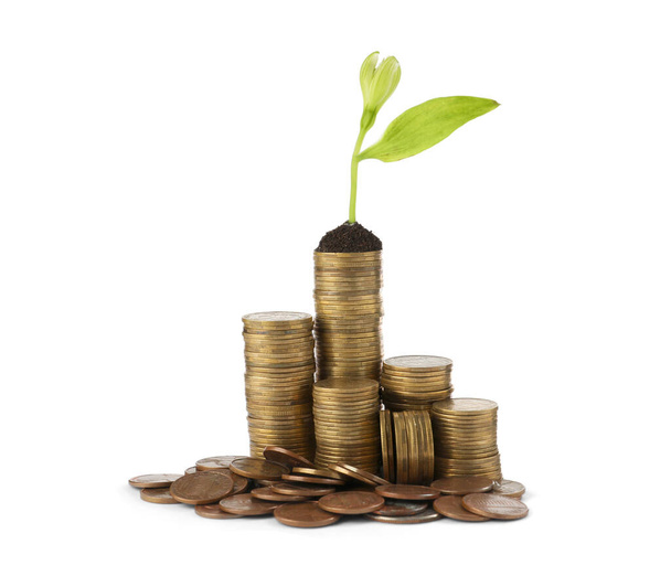 Stacks of coins and green plant on white background. Investment concept - Foto, Imagen