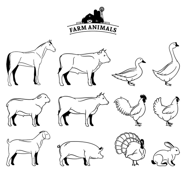 Vector Farm Animals Isolated on White - Vector, Image