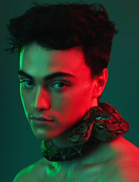 Beauty, skincare and snake by man in neon, light and color studio for aesthetic, style and cosmetic. Portrait, face and animal by model for facial, product and glamour by asian on neon green mockup. - Zdjęcie, obraz