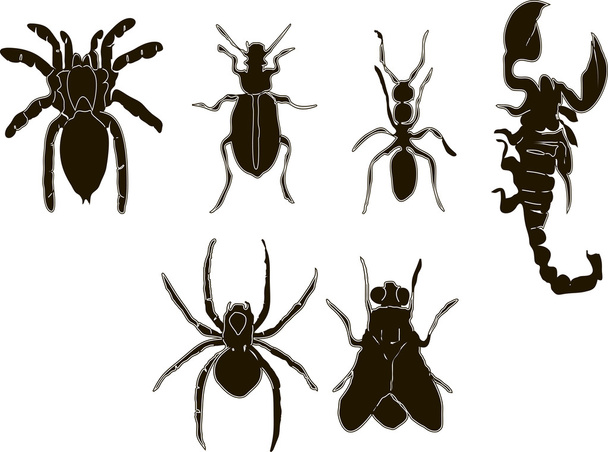 Wektor - owady ikony zestaw czarno-biały - Wektor, obraz