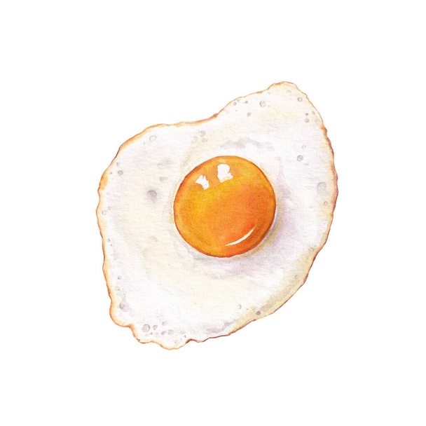 Beyaz üzerine suluboya yumurta - Fotoğraf, Görsel