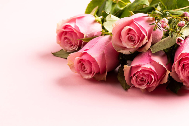 Composition of roses on white background. Valentines day, celebration and copy space, digital composite image. - Φωτογραφία, εικόνα