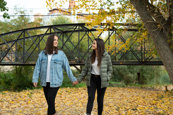 uśmiechnięta lesbijska para patrząca na siebie i trzymająca się za ręce podczas spaceru po parku w piękny jesienny dzień.  - Zdjęcie, obraz
