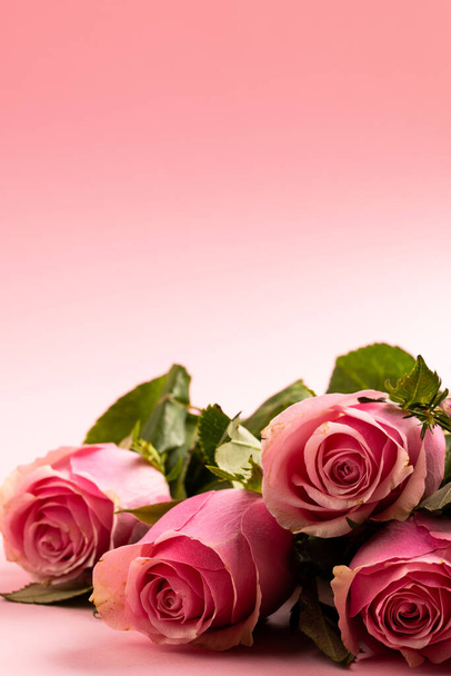 Composition of roses on white background. Valentines day, celebration and copy space, digital composite image. - Foto, afbeelding