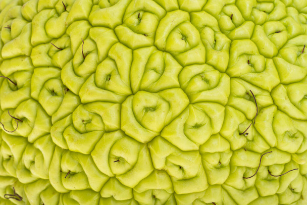 zelená krásná maclura pozadí detailní up - Fotografie, Obrázek