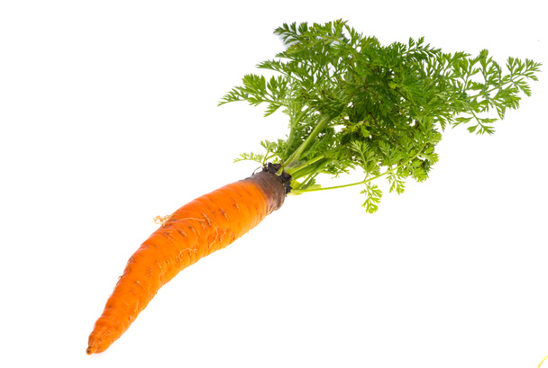 zanahoria con hojas aisladas sobre fondo blanco - Foto, Imagen