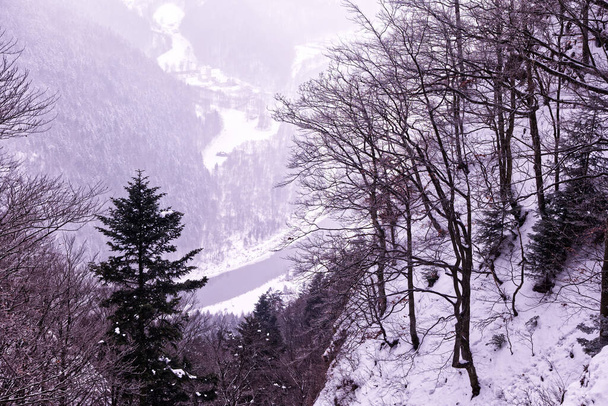ポーランドのピニニー。Trzy Koronyの頂上付近の冬の景色空の歩道があるPieniny山脈の寒い12月の風景トップに戻る - 写真・画像
