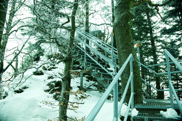 Пенины, Польша. зимний вид на вершину Трзы Короны Холодный декабрьский пейзаж гор Пенины с пустой тропой к вершине - Фото, изображение