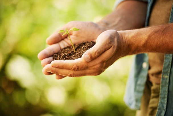 Каждый саженец это новое начало. неопознанный фермер держит груду почвы с растущим из нее саженцем - Фото, изображение