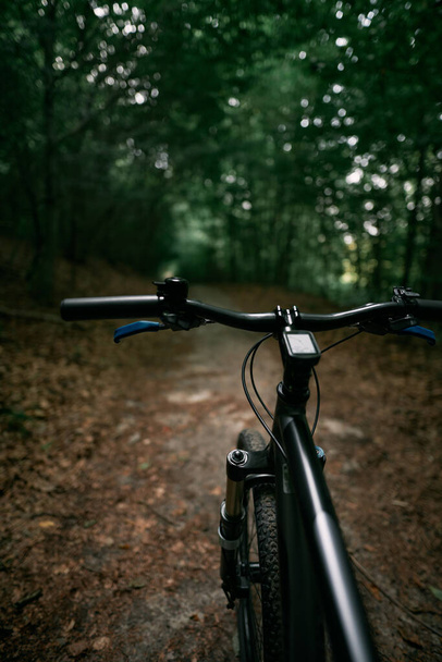 Вид від першої особи на велосипеді в лісі. Крупним планом гірський велосипед кермо. Концепція літньої спортивної діяльності на відкритому повітрі
. - Фото, зображення