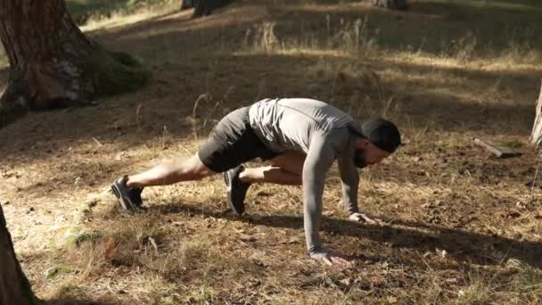 Planche avec les jambes à la poitrine. Sport dans la forêt dans la nature, ralenti - Séquence, vidéo