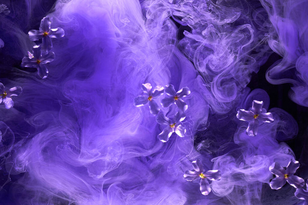 Abstract purple lilac background with flowers and paints in water. Backdrop for perfume, cosmetic products - Valokuva, kuva