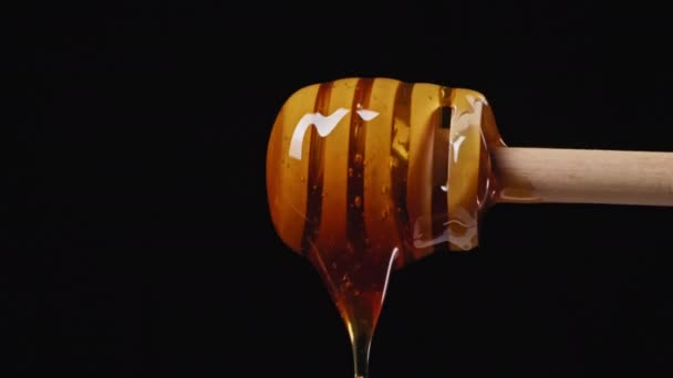 Close Up Honey fluye hacia abajo cuchara de madera sobre fondo aislado negro. Imágenes de alta calidad 4k - Imágenes, Vídeo
