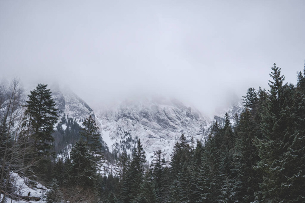 Tatra Mountains covered in clouds during winter season - Photo, image