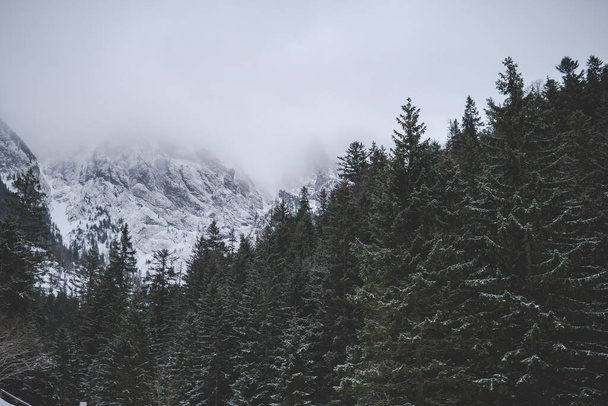 Montañas Tatra cubiertas de nubes durante la temporada de invierno - Foto, imagen