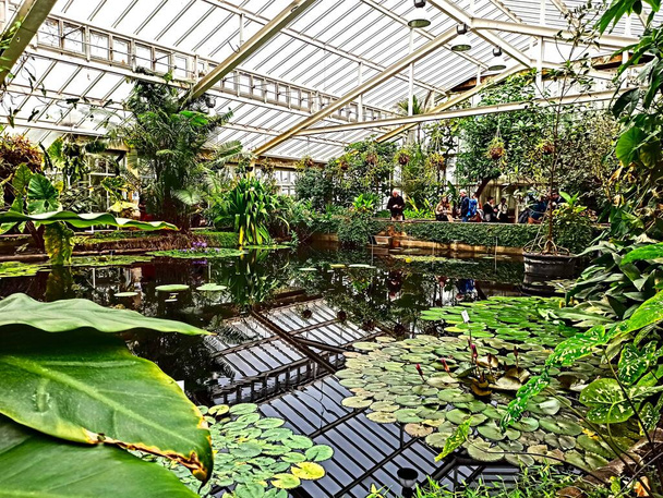 Meise, België - maart 2022 - Bezoek aan de prachtige botanische tuin van 92 hectare van Meise - Foto, afbeelding