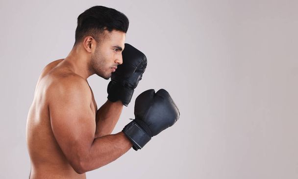 Training, young man and boxer with boxing gloves for competition, prepare for match and focus with grey studio background profile. Sportsman, Indian male and fighter at game, being healthy in workout. - Fotoğraf, Görsel