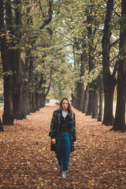 Morena sonriente camina a lo largo de un sendero forestal cubierto de hojas de colores. Retrato franco de una joven mujer real vestida con ropa de otoño en la temporada de otoño. - Foto, imagen