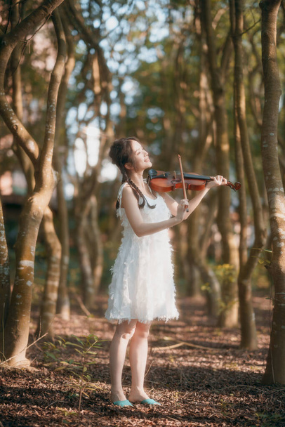 Девушка играет на скрипке под большим деревом - Фото, изображение
