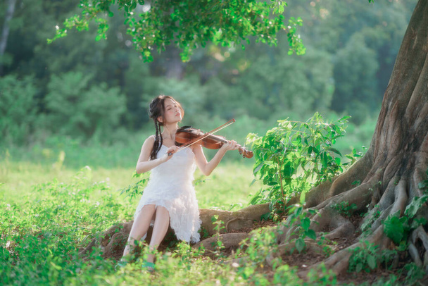 Dziewczyna gra na skrzypcach pod wielkim drzewem. - Zdjęcie, obraz