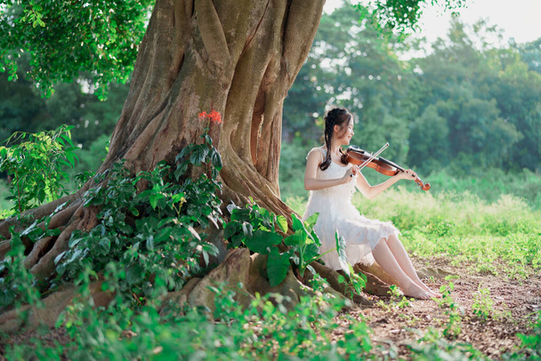 Dziewczyna gra na skrzypcach pod wielkim drzewem. - Zdjęcie, obraz