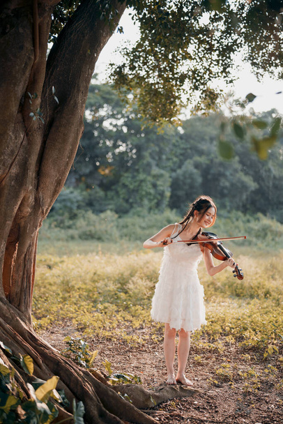 La ragazza sta suonando il violino sotto il grande albero - Foto, immagini