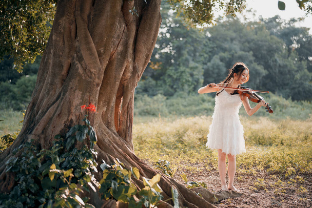 The girl is playing the violin under the big tree - Фото, изображение