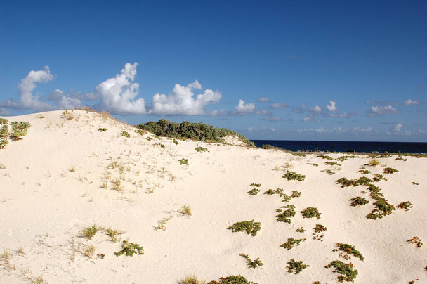 Increíble playa de arena blanca y cielo azul en Aruba, Caribe - Foto, imagen