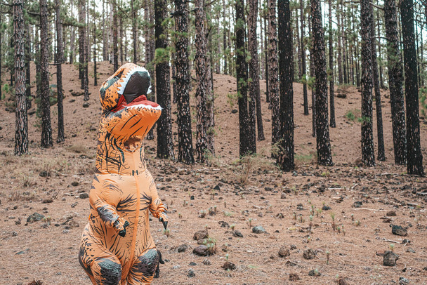 ein T-Rex-Kostüm, das die Erde erkundet und auf der Straße eines Waldes oder Berges nach etwas sucht  - Foto, Bild