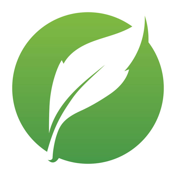 Leaf green logo and symbol vector template - Vektor, obrázek