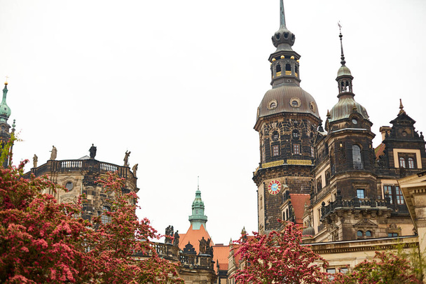 Saxon architecture in Dresden. Red flowering trees, in the historic part of the city. Dresden, Germany - 05.20.2019 - Фото, изображение