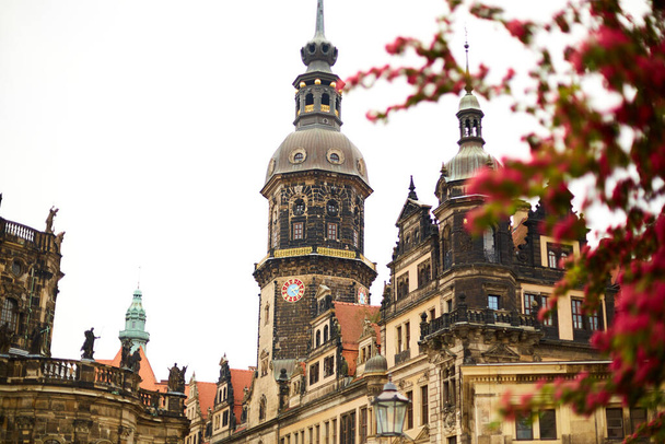 Saksische architectuur in Dresden. Rode bloeiende bomen, in het historische deel van de stad. Dresden, Duitsland - 05.20.2019 - Foto, afbeelding