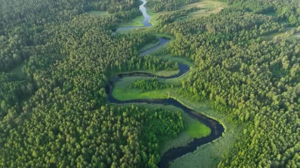 Drone aerial shot of natural river in the forest - Footage, Video