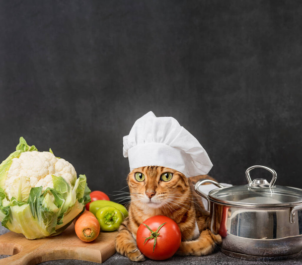 Chef cat with a pan and vegetables on a dark background. Copy space. - Foto, Imagem