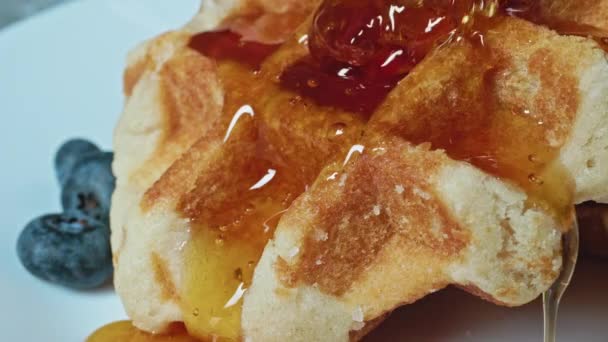 Belgialaisia vohveleita aamiaiseksi hunajan ja marjojen kanssa, konsepti aamiaisen myymiseksi hunajamarjoja. Laadukas 4k kuvamateriaalia - Materiaali, video