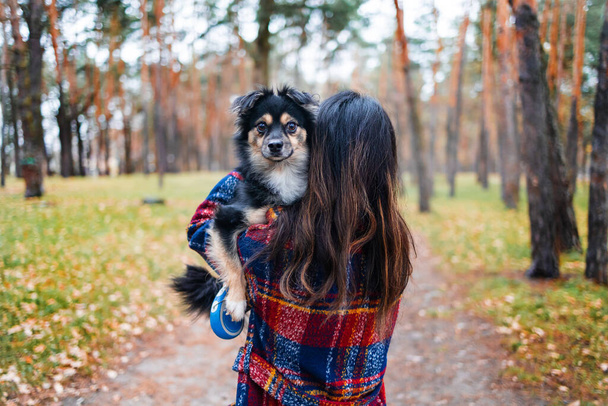 Köpeğiyle mutlu genç bir kadın. Ev hayvanları. Genç kadın parkta yürürken sevimli köpeğini tutuyor ve ona sarılıyor. Açık havada portre. - Fotoğraf, Görsel